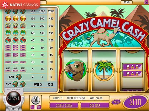 Crazy Camel Cash  игровой автомат Rival Powered